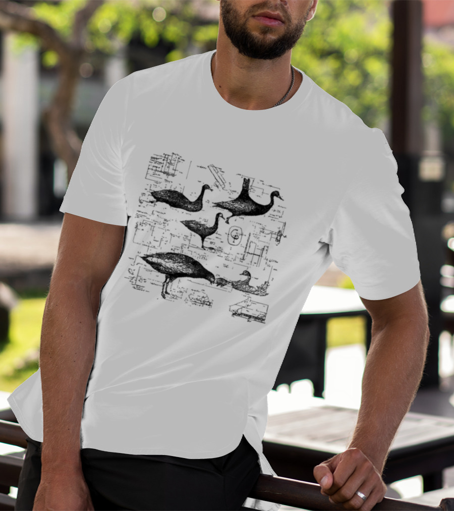 Caroline Polachek Gooses Information Vintage Blueprint Aesthetic T-Shirt