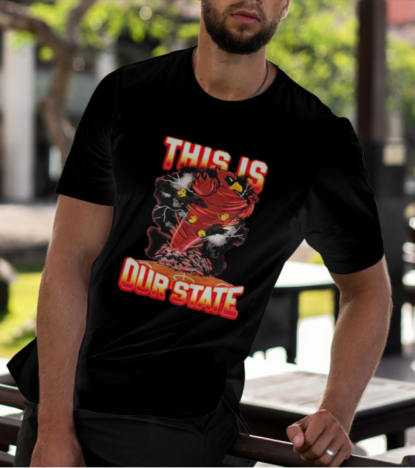 THIS IS OUR STATE Arizona Cardinals Official NFL Team Gear T-Shirt