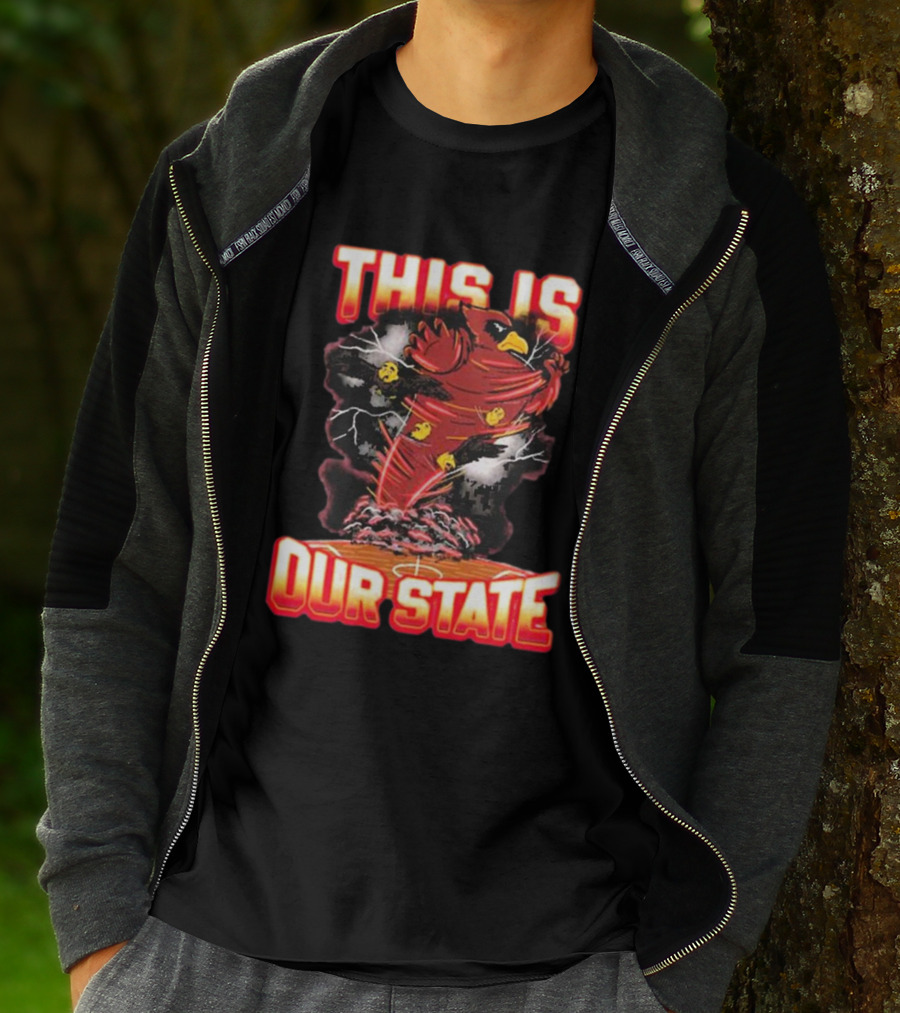 THIS IS OUR STATE Arizona Cardinals Official NFL Team Gear T-Shirt