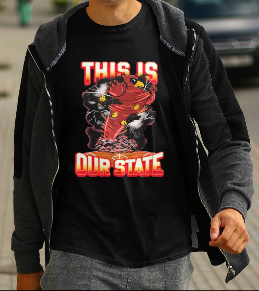 THIS IS OUR STATE Arizona Cardinals Official NFL Team Gear T-Shirt