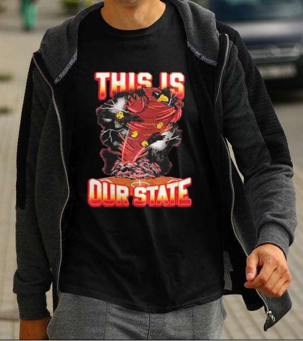 THIS IS OUR STATE Arizona Cardinals Official NFL Team Gear T-Shirt