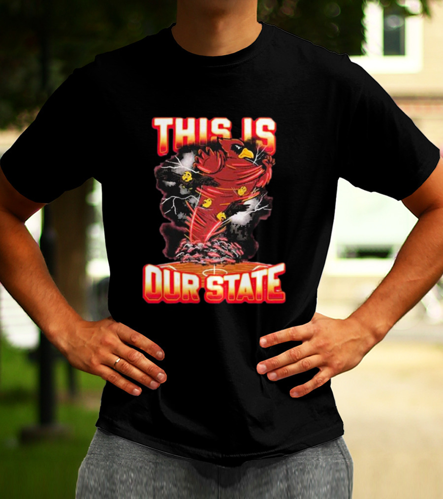 THIS IS OUR STATE Arizona Cardinals Official NFL Team Gear T-Shirt