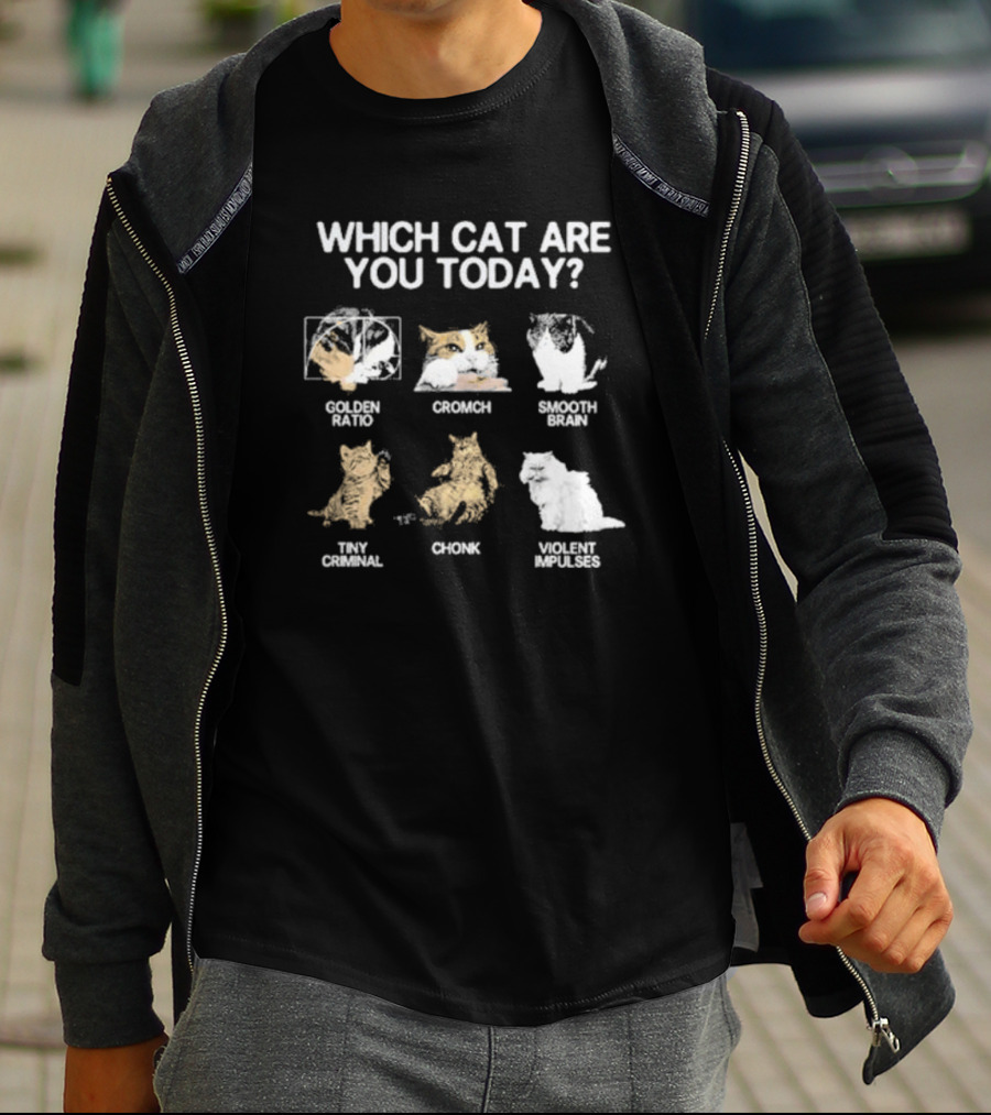 Which Cat Are You Today Golden Ratio Cromch Smooth Brain Tiny Criminal Chonk Violent Impulses T-Shirt