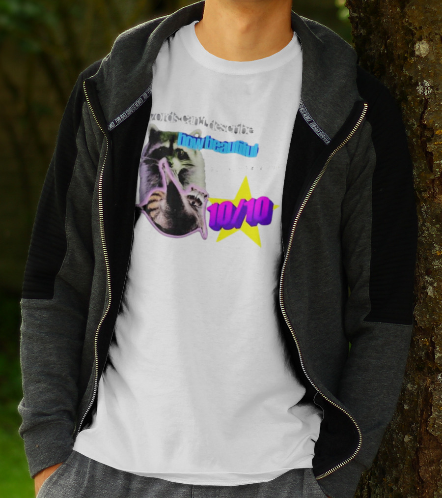 Words Can't Describe How Beautiful I Am But Numbers Can 10/10 Raccoon Star T-Shirt