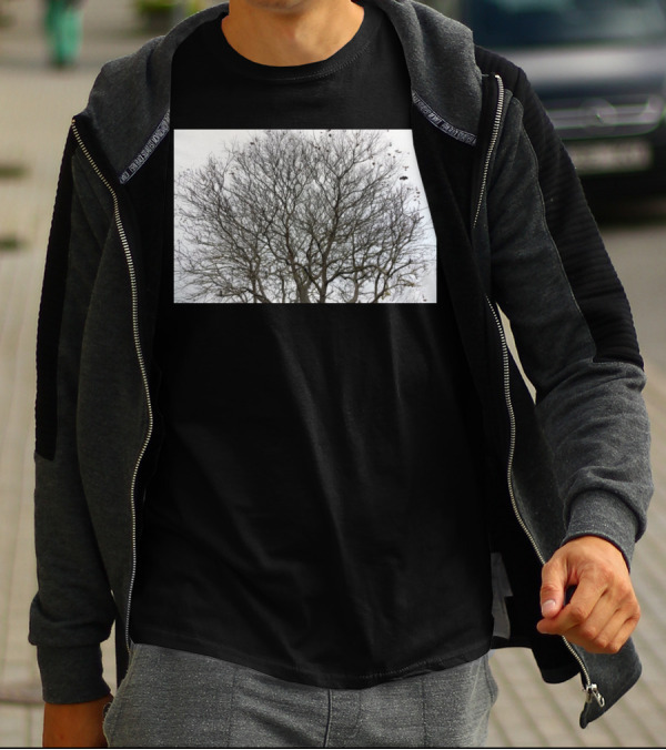 Winters Tracery Bare Tree Branches In Overcast Grey Sky T-Shirt