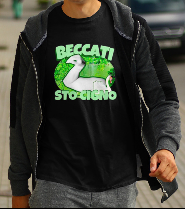 Beccati Sto Cigno Goose Meme - Italian Humor With Green Lake Background T-Shirt