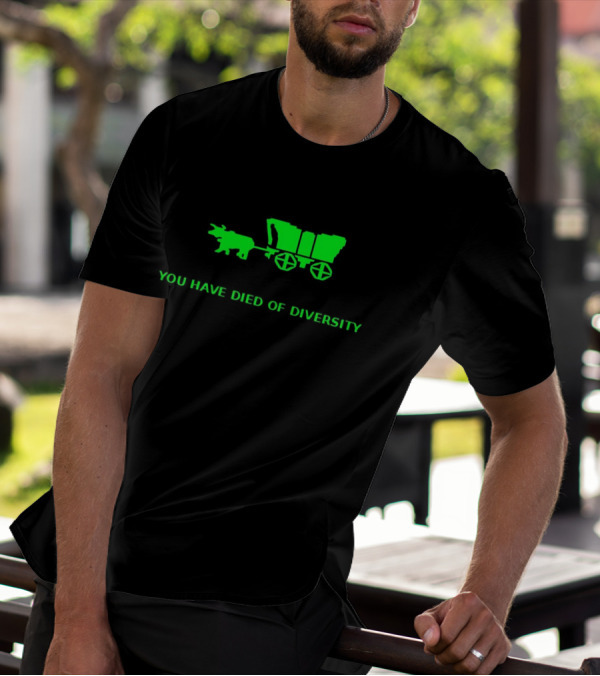 You Have Died Of Diversity Oregon Trail Pixel T-Shirt