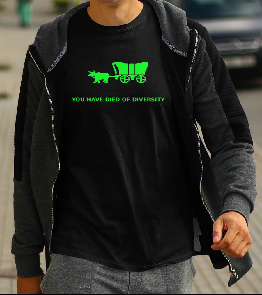 You Have Died Of Diversity Oregon Trail Pixel T-Shirt