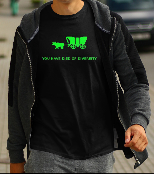 You Have Died Of Diversity Oregon Trail Pixel T-Shirt