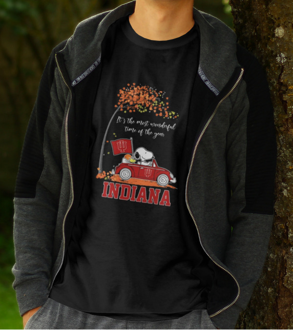 Indiana Hoosiers Snoopy And Woodstock Driving Car Fall It’s The Most Wonderful Time Of The Year T-Shirt