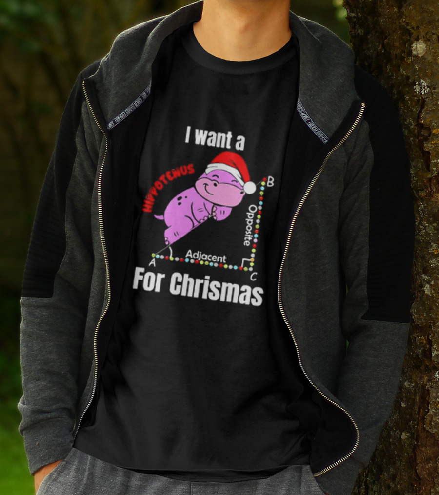 I Want A Hippotenuse ABC Adjacent Opposite For Christmas Cute Hippo T-Shirt