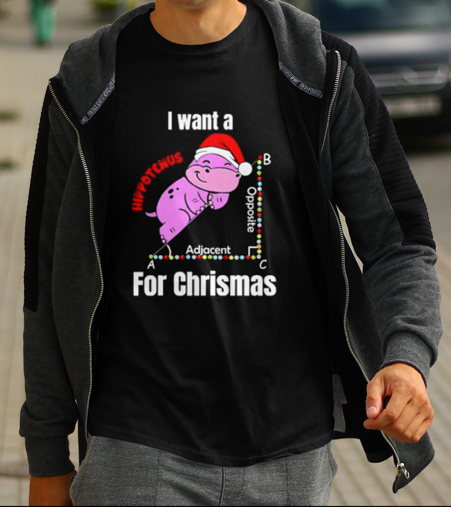 I Want A Hippotenuse ABC Adjacent Opposite For Christmas Cute Hippo T-Shirt