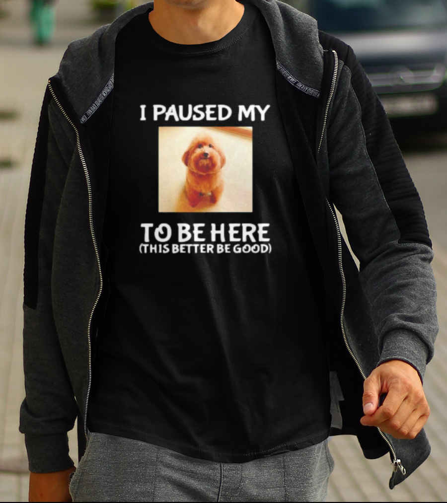 I Paused My Dog To Be Here This Better Be Good T-Shirt