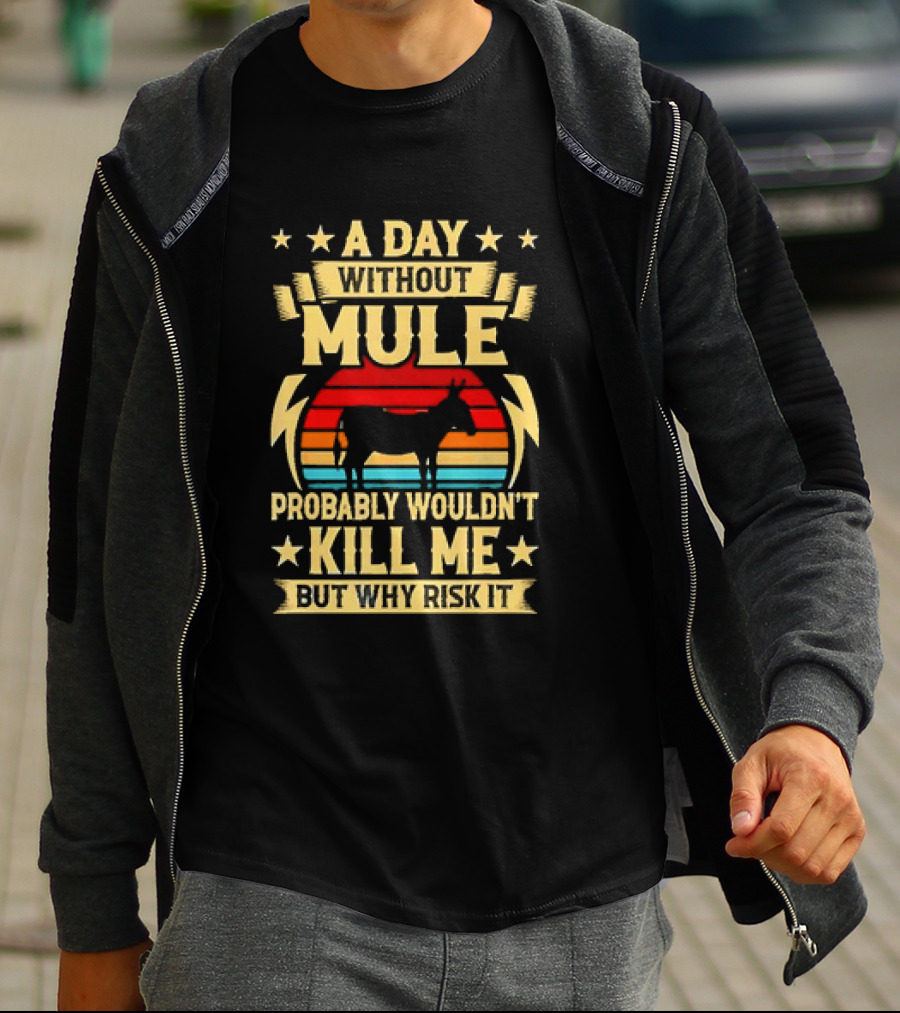 A Day Without Mule Probably Wouldn't Kill Me But Why Risk It Vintage Sunset T-Shirt