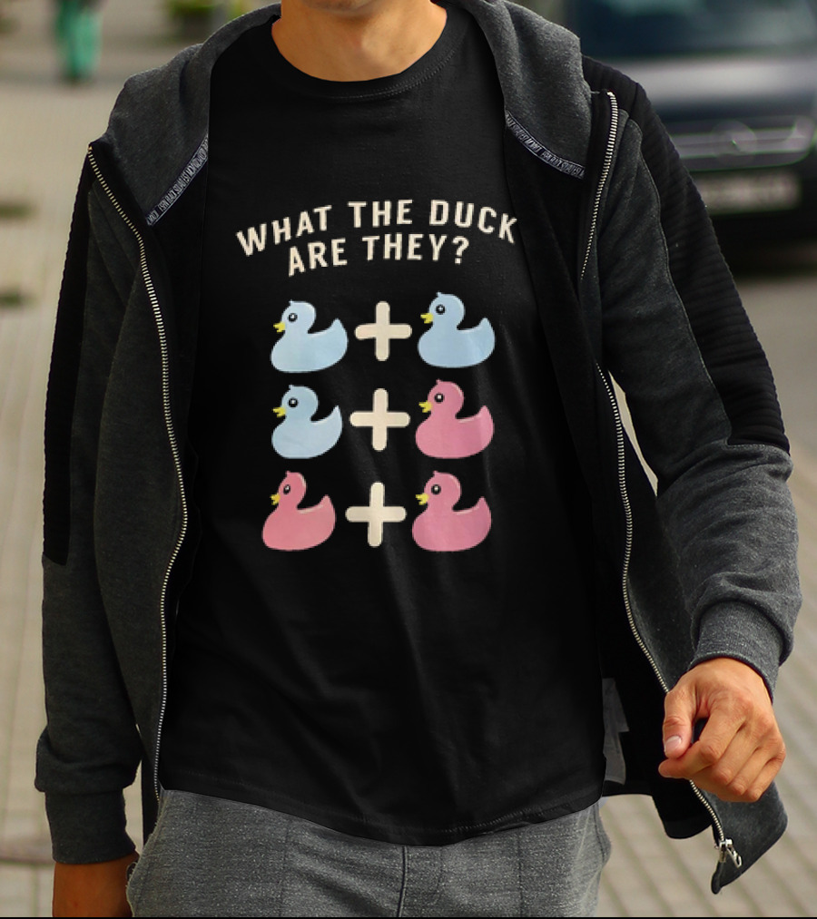 What The Duck Are They Blue And Pink Duck Addition Puzzle T-Shirt