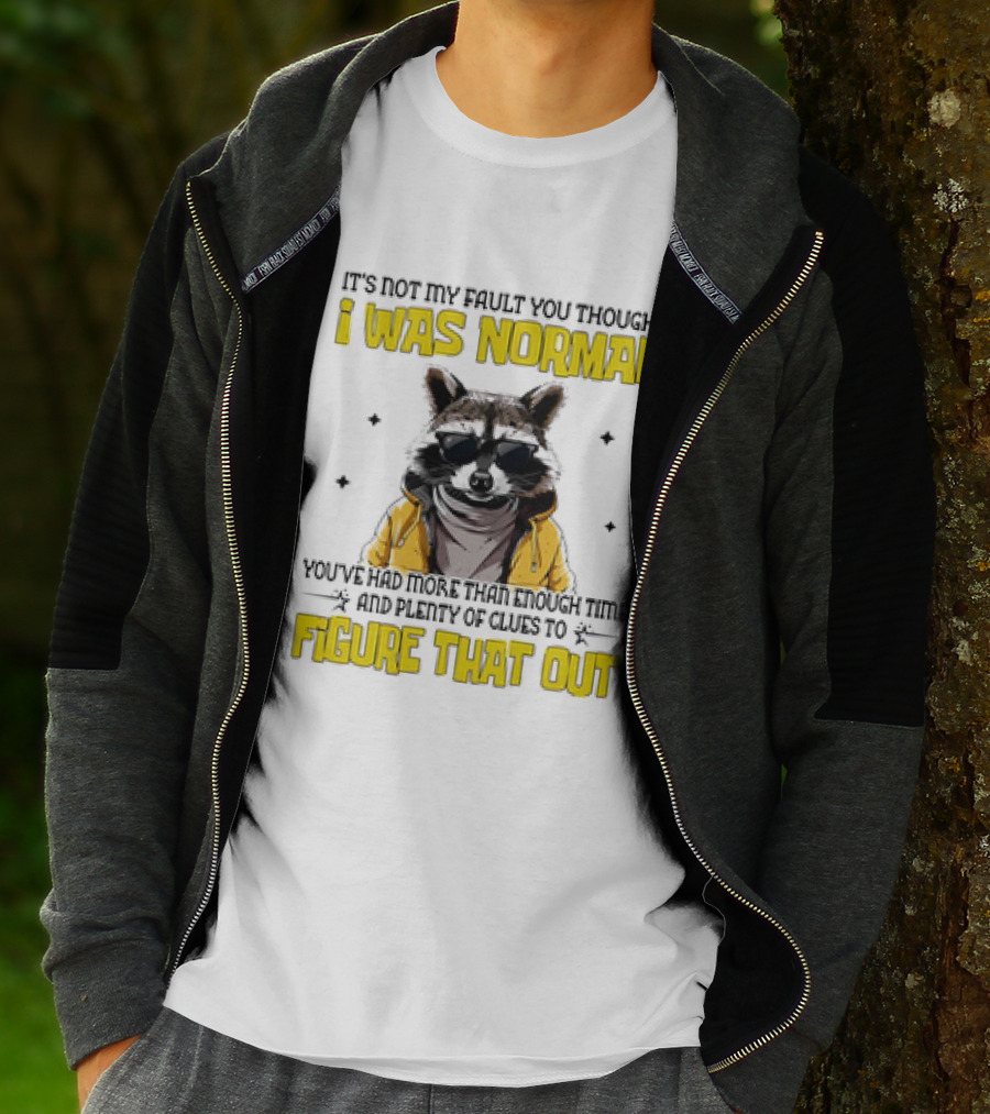 Raccoon It's Not My Fault You Thought I Was Normal You've Had More Than Enough Time And Plenty Of Clues To Figure That Out T-Shirt