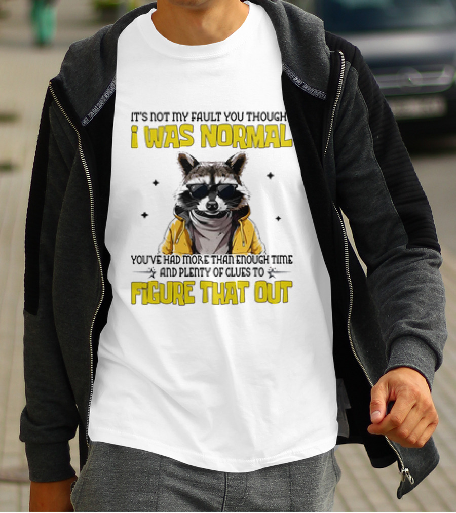 Raccoon It's Not My Fault You Thought I Was Normal You've Had More Than Enough Time And Plenty Of Clues To Figure That Out T-Shirt
