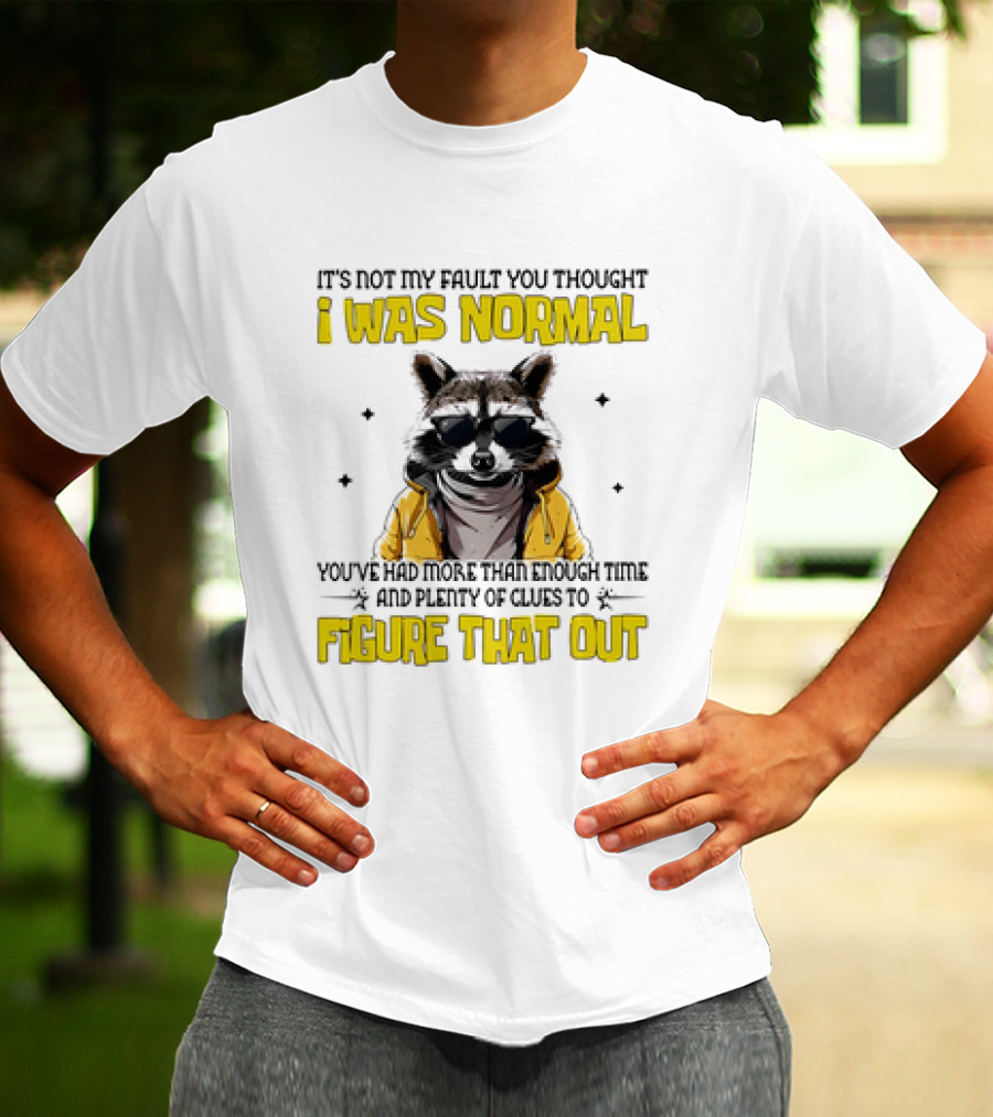 Raccoon It's Not My Fault You Thought I Was Normal You've Had More Than Enough Time And Plenty Of Clues To Figure That Out T-Shirt