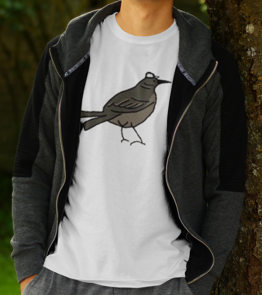 Dallas Stars Mr. Mockingbird Victory Green Bird T-Shirt