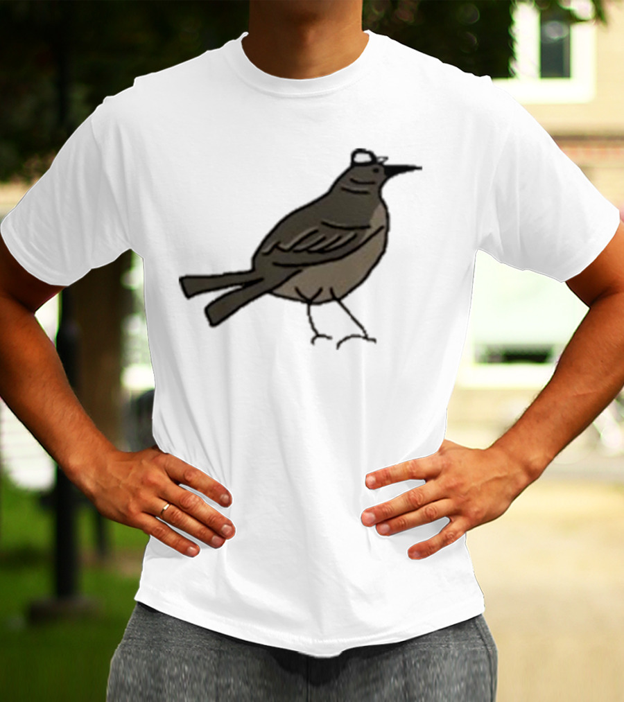 Dallas Stars Mr. Mockingbird Victory Green Bird T-Shirt