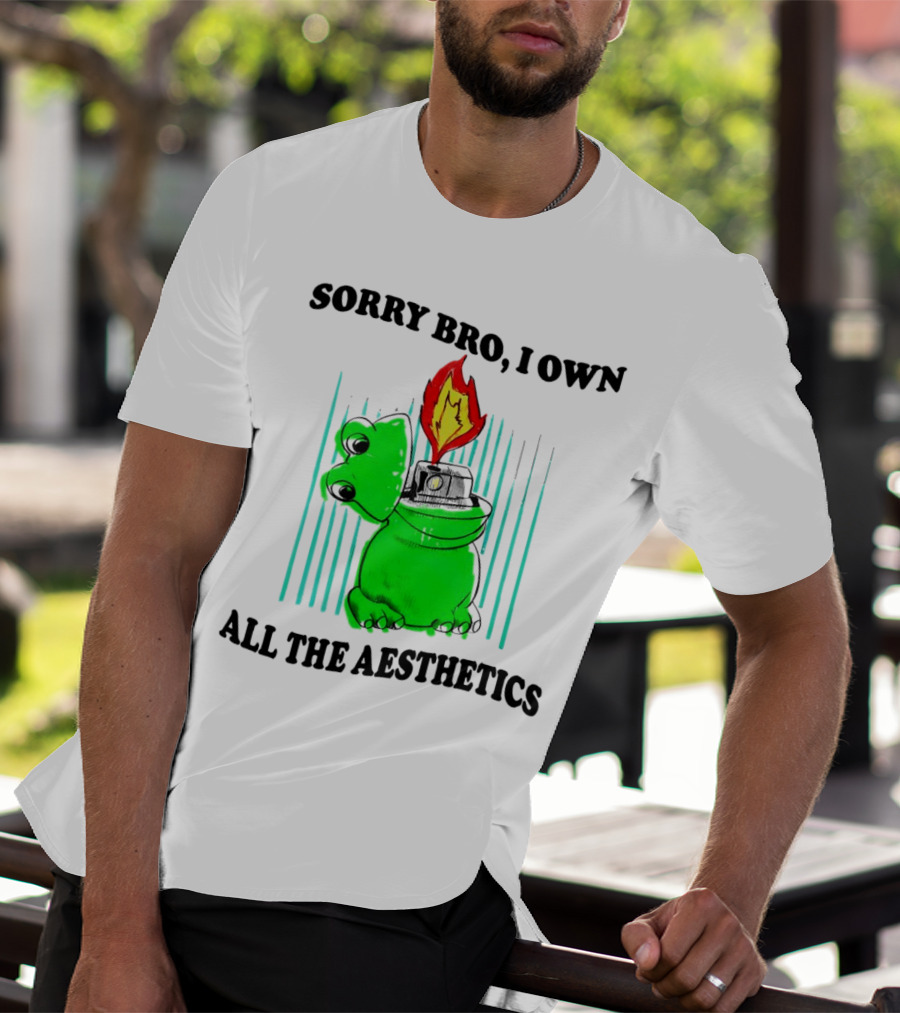 Sorry Bro I Own All The Aesthetics Melting Frog Lighter Flame T-Shirt