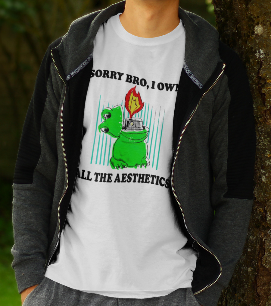 Sorry Bro I Own All The Aesthetics Melting Frog Lighter Flame T-Shirt