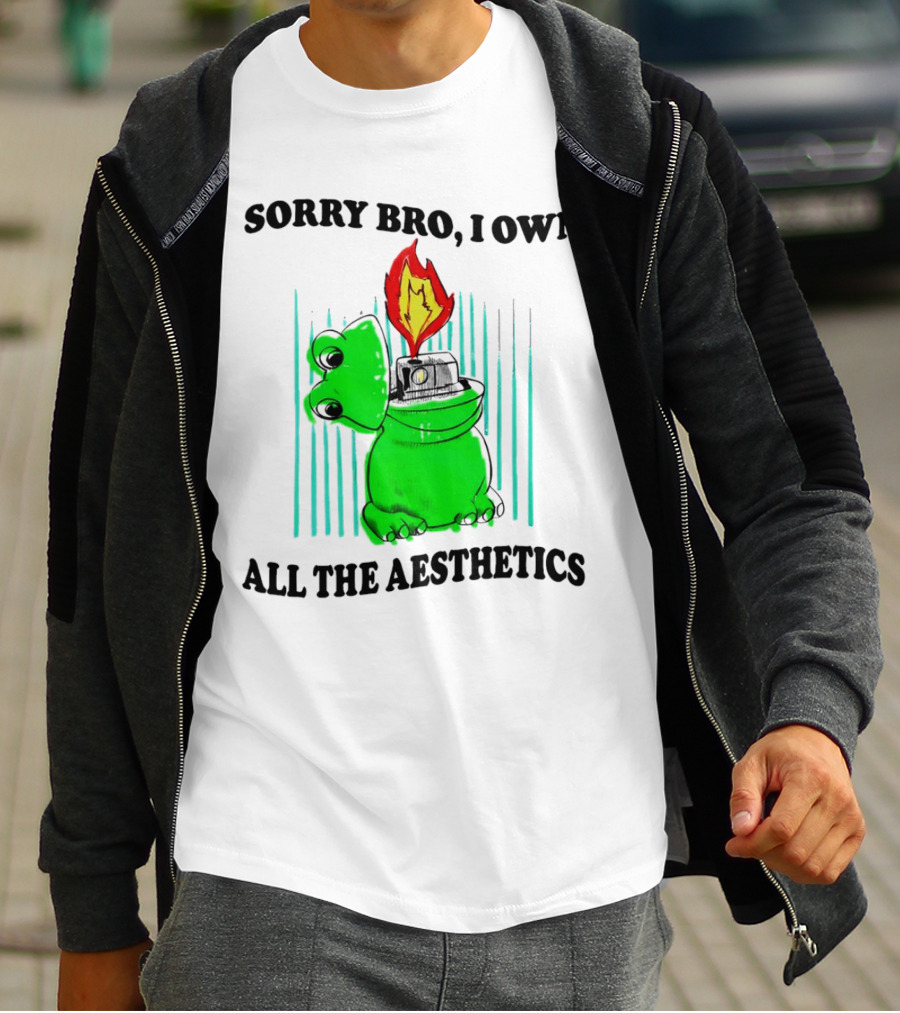 Sorry Bro I Own All The Aesthetics Melting Frog Lighter Flame T-Shirt