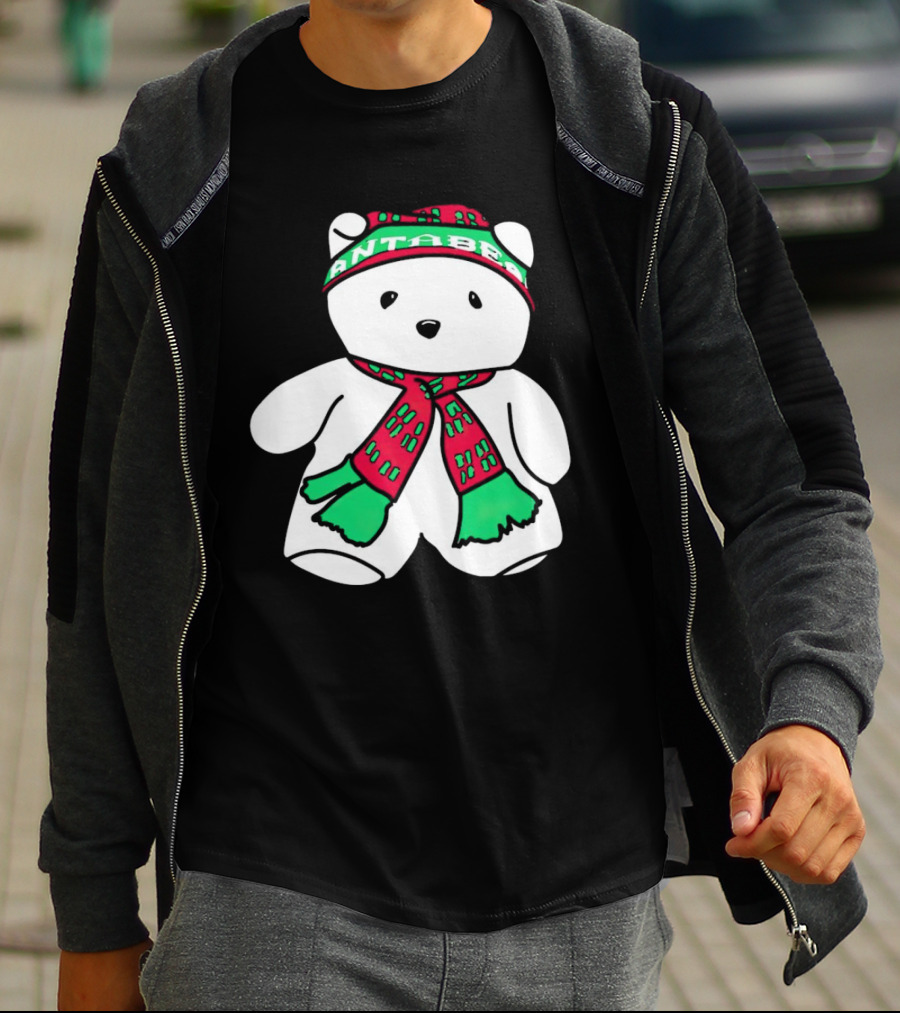 Santa Bear Minnesota Christmas Festive Holiday Teddy T-Shirt