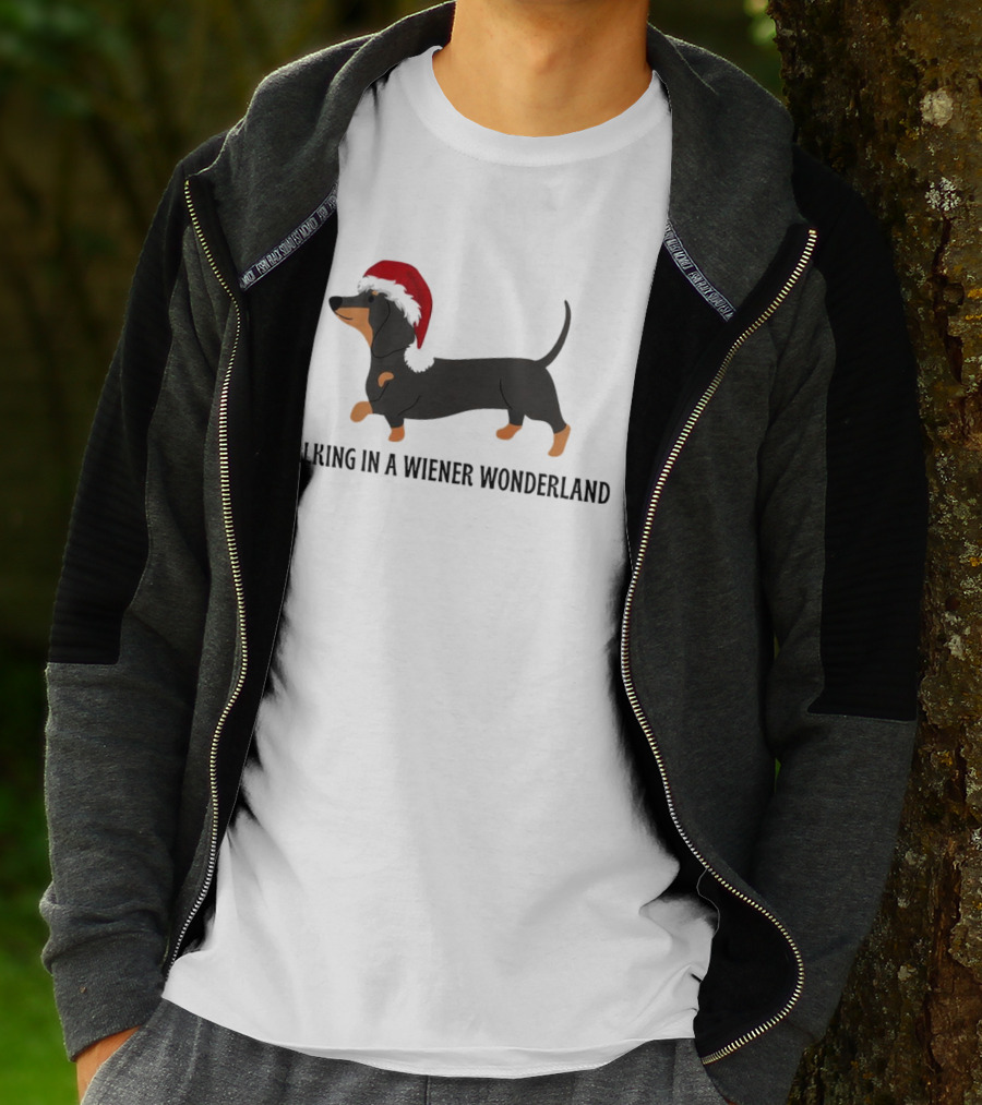 Christmas Walking In A Wiener Wonderland Dachshund With Santa Hat T-Shirt