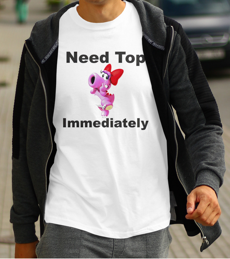 Need Top Immediately Bow Dinosaur Character T-Shirt