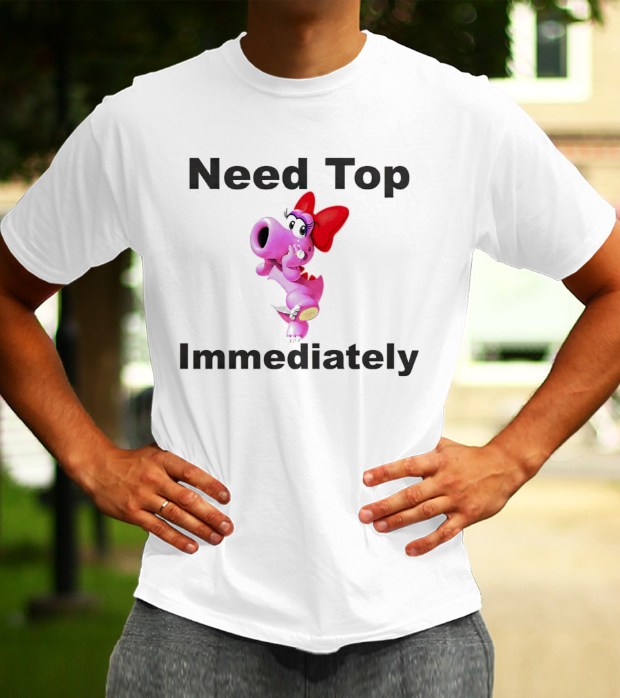 Need Top Immediately Bow Dinosaur Character T-Shirt