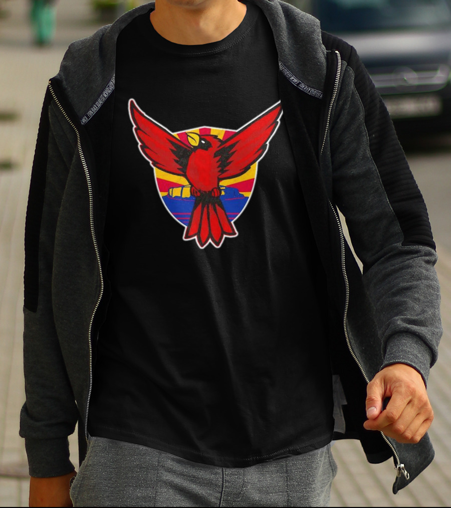 Phoenix Arizona Cardinals Sunburst T-Shirt