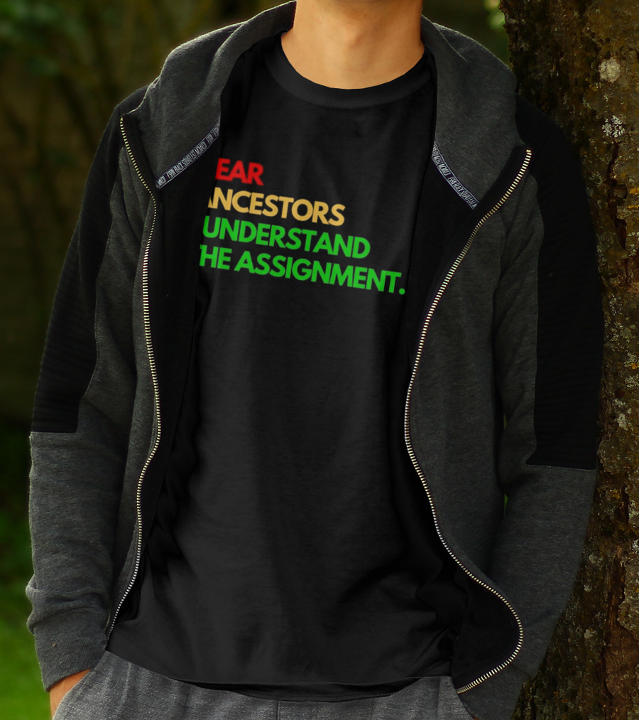 Dear Ancestors I Understand The Assignment T-Shirt