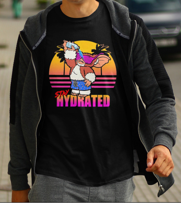Stay Hydrated Gizmo Summer Beach Vibes With Sunset And Palm Trees T-Shirt