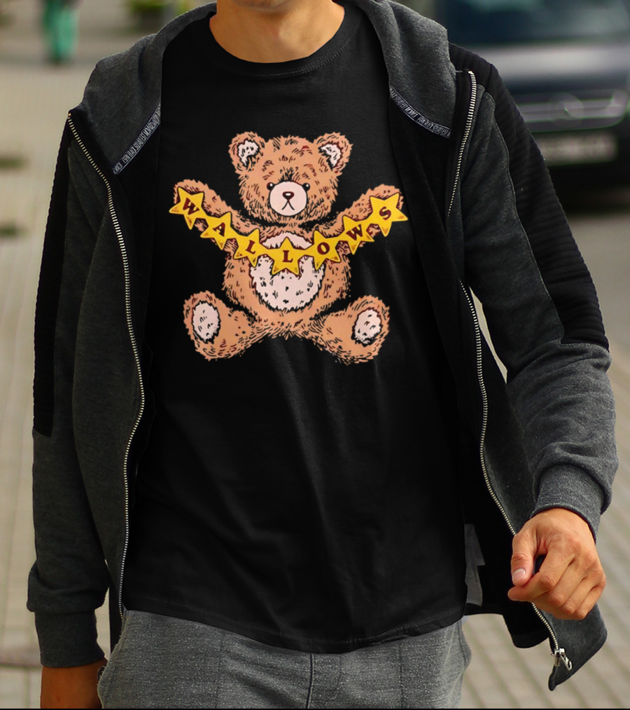 Wallows Teddy Bear Holding Stars T-Shirt