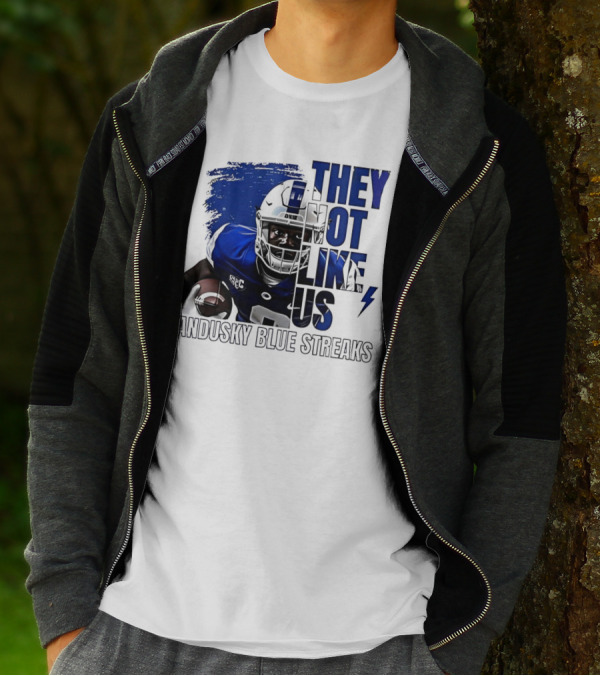 Sandusky Blue Streaks They Not Like Us Football Player Grunge T-Shirt