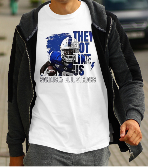 Sandusky Blue Streaks They Not Like Us Football Player Grunge T-Shirt