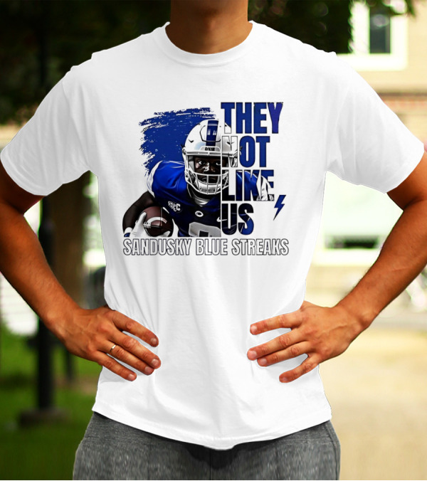 Sandusky Blue Streaks They Not Like Us Football Player Grunge T-Shirt
