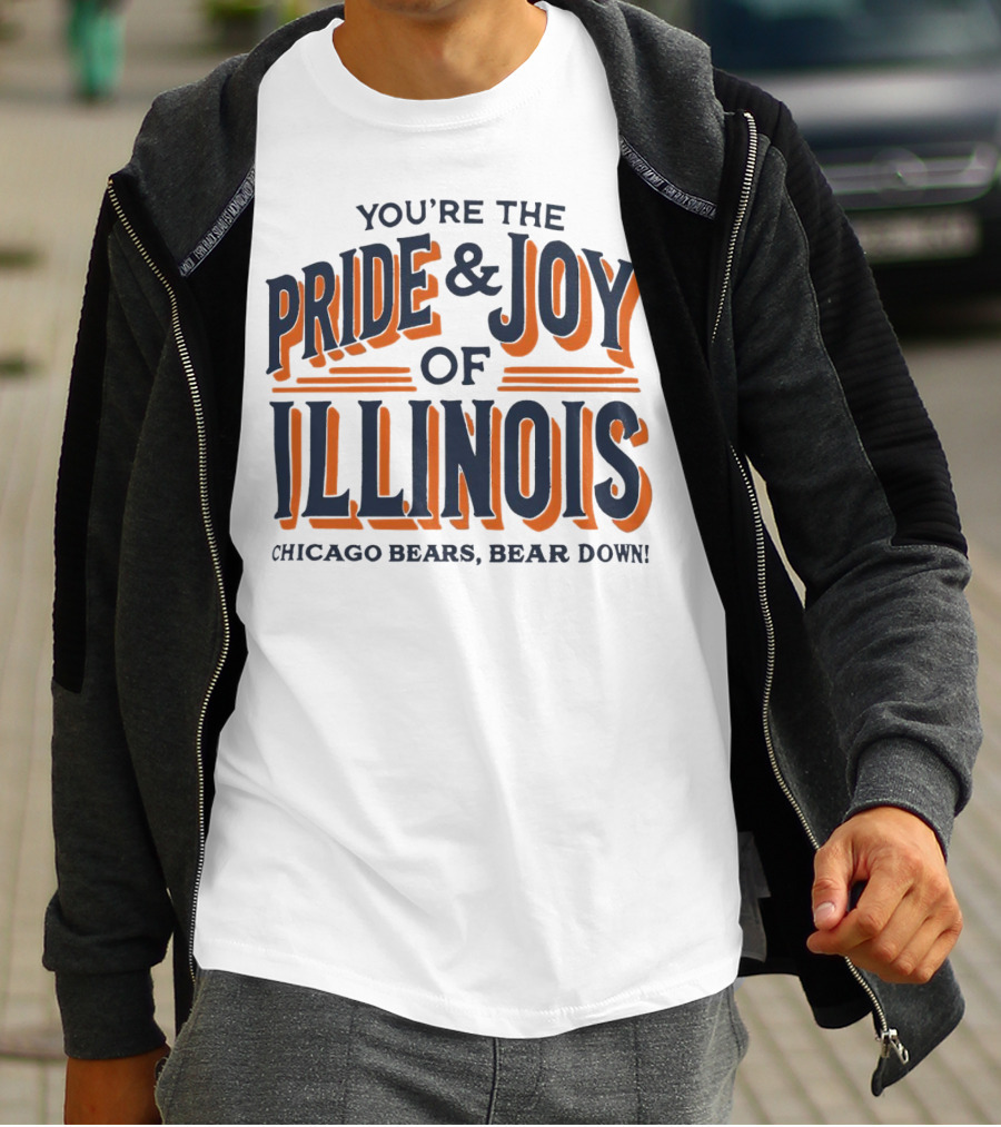 You're The Pride And Joy Of Illinois Chicago Bears Bear Down T-Shirt