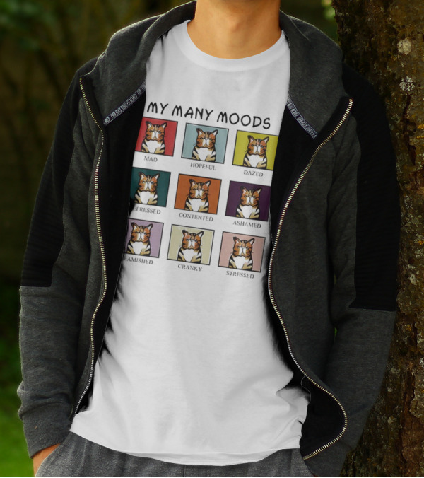 My Many Moods Mad Hopeful Dazed Depressed Contented Ashamed Famished Cranky Stressed T-Shirt