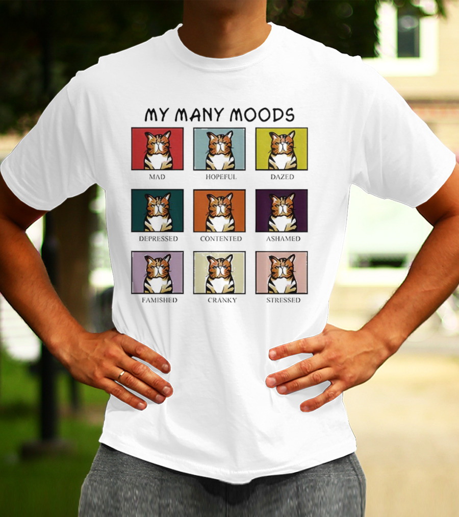 My Many Moods Mad Hopeful Dazed Depressed Contented Ashamed Famished Cranky Stressed T-Shirt