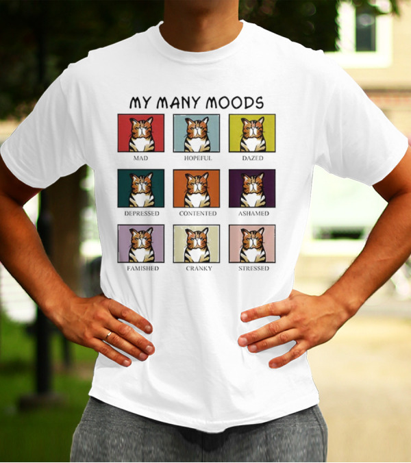 My Many Moods Mad Hopeful Dazed Depressed Contented Ashamed Famished Cranky Stressed T-Shirt