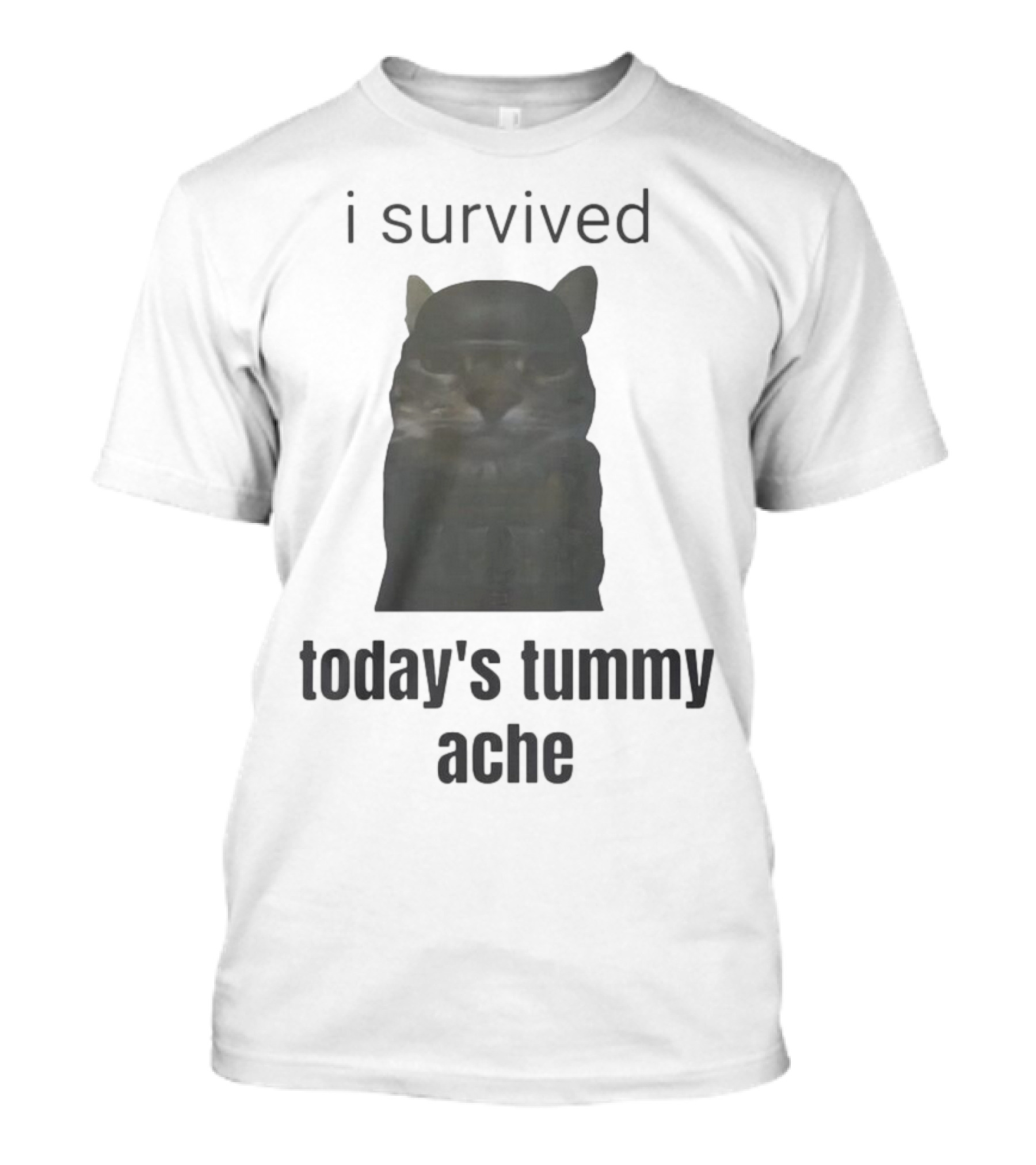I Survived Today's Tummy Ache Cat Image T-Shirt