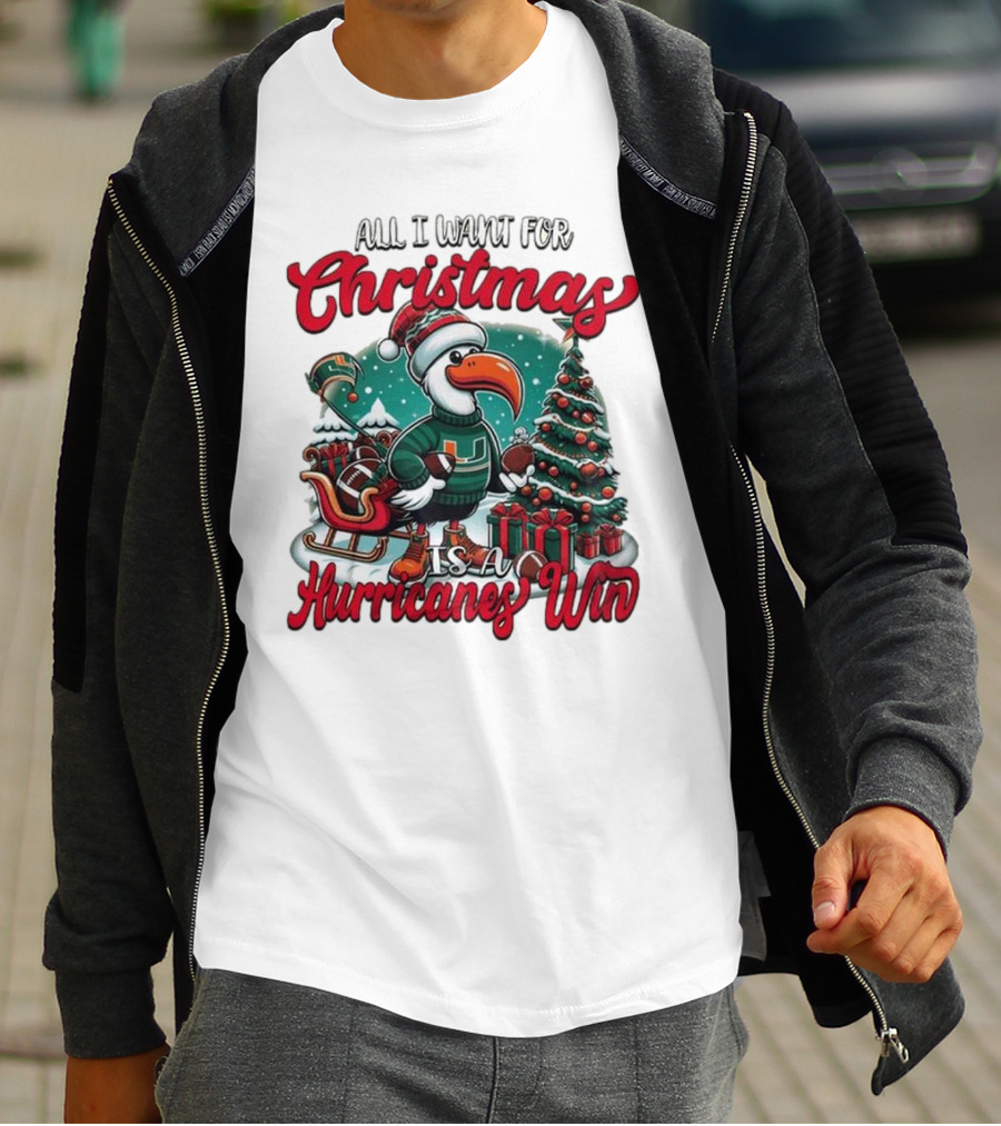 All I Want For Christmas Is A Hurricanes Win Santa Birdfest T-Shirt
