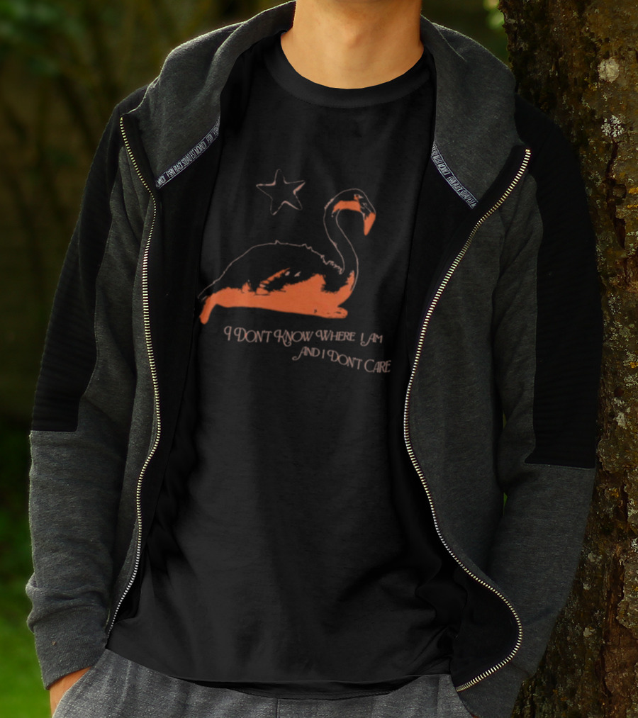 Flamingo I Don’t Know Where I Am And I Don’t Care With Star T-Shirt