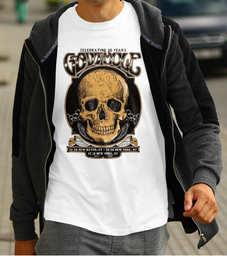 Celebrating 30 Years Gov’t Mule Skull Design Dec 28 New Haven CT Dec 30-31 New York NY T-Shirt