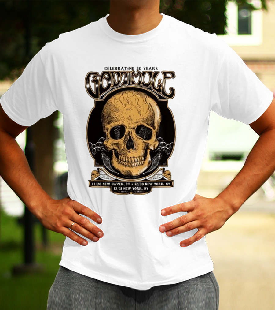 Celebrating 30 Years Gov’t Mule Skull Design Dec 28 New Haven CT Dec 30-31 New York NY T-Shirt