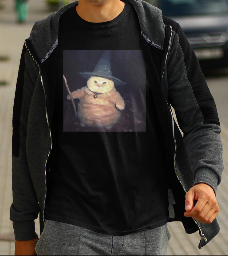 Cheeseball The Wizard Cat Meme Wearing Witch Hat And Holding Wand T-Shirt