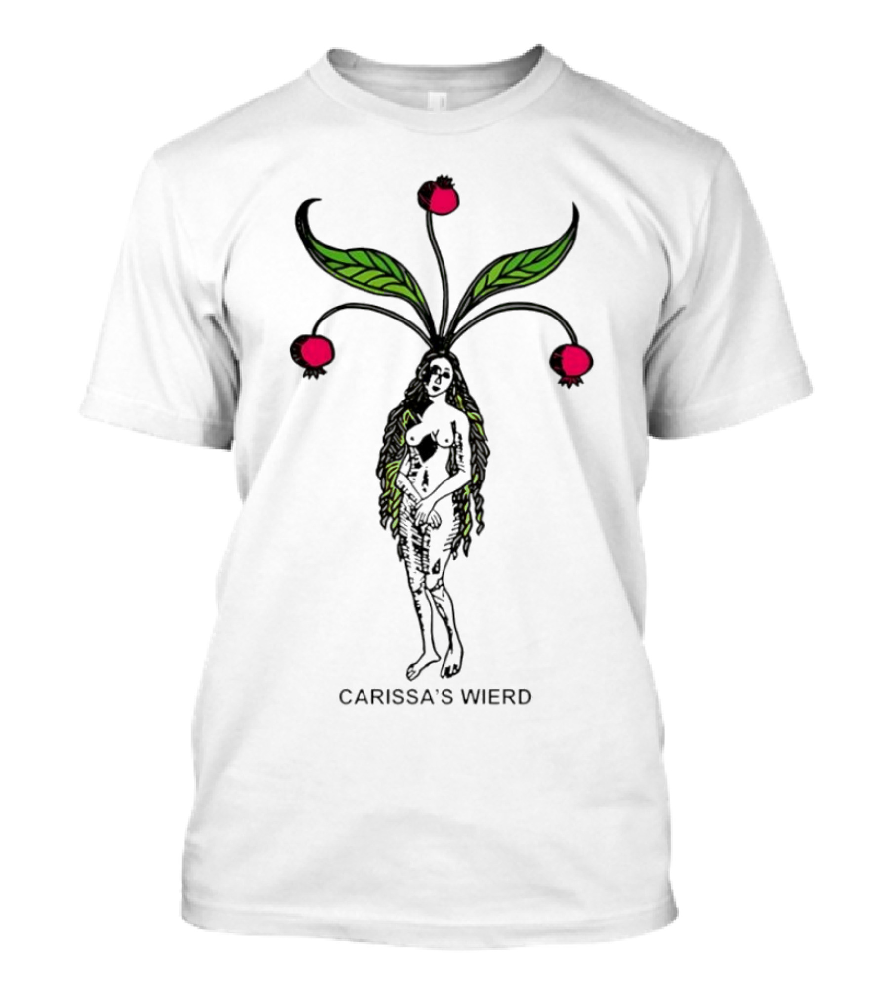 Carissa's Wierd Los Angeles Fire Benefit Hated Here T-Shirt