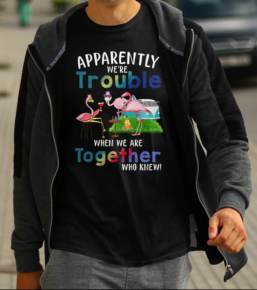Apparently We're Trouble When We Are Together Flamingos Camping Van Campfire T-Shirt